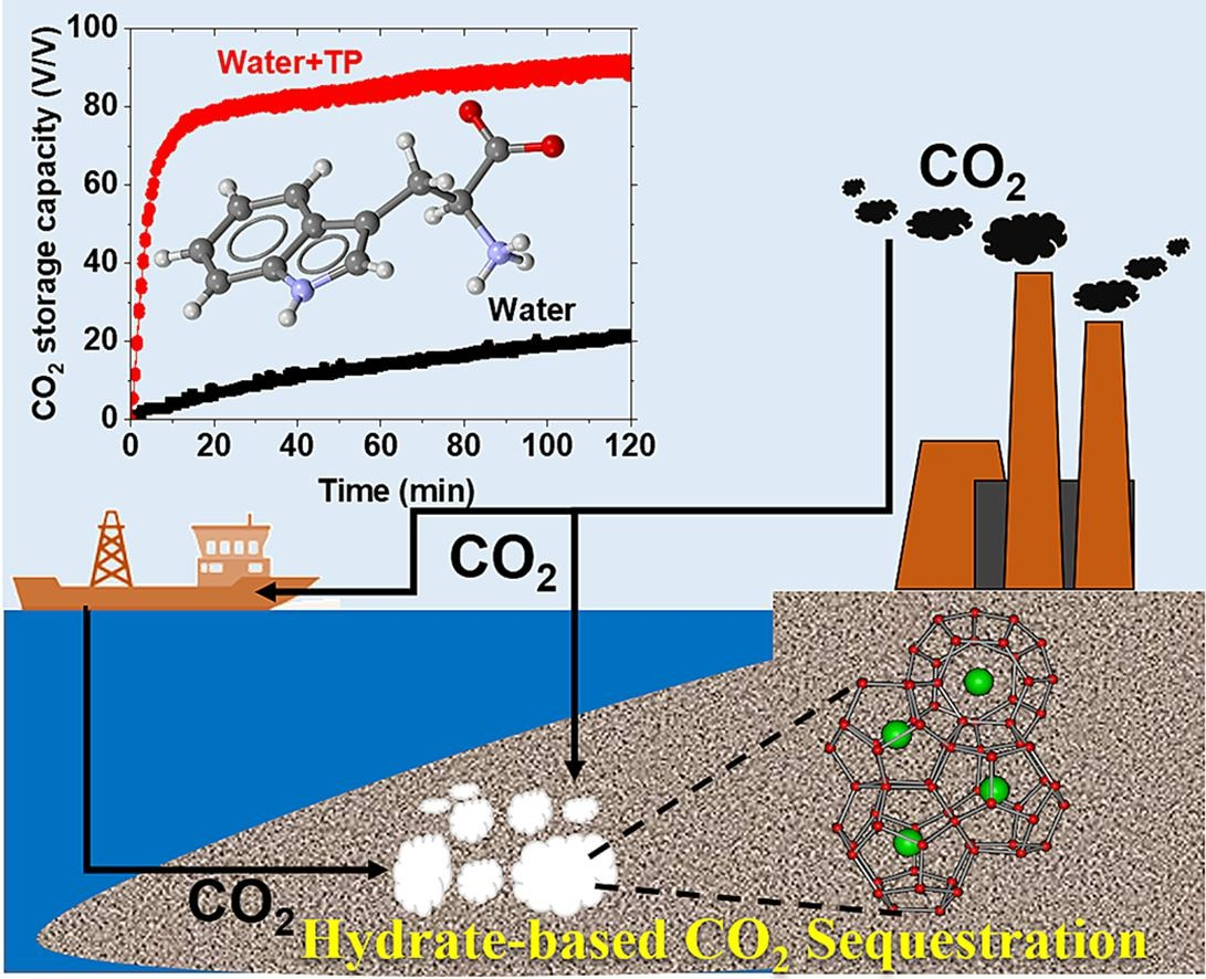 Hydrate-based CO₂ sequestration: tryptophan-promoted CO₂ uptake kinetics and subsea clathrate cage storage schematic